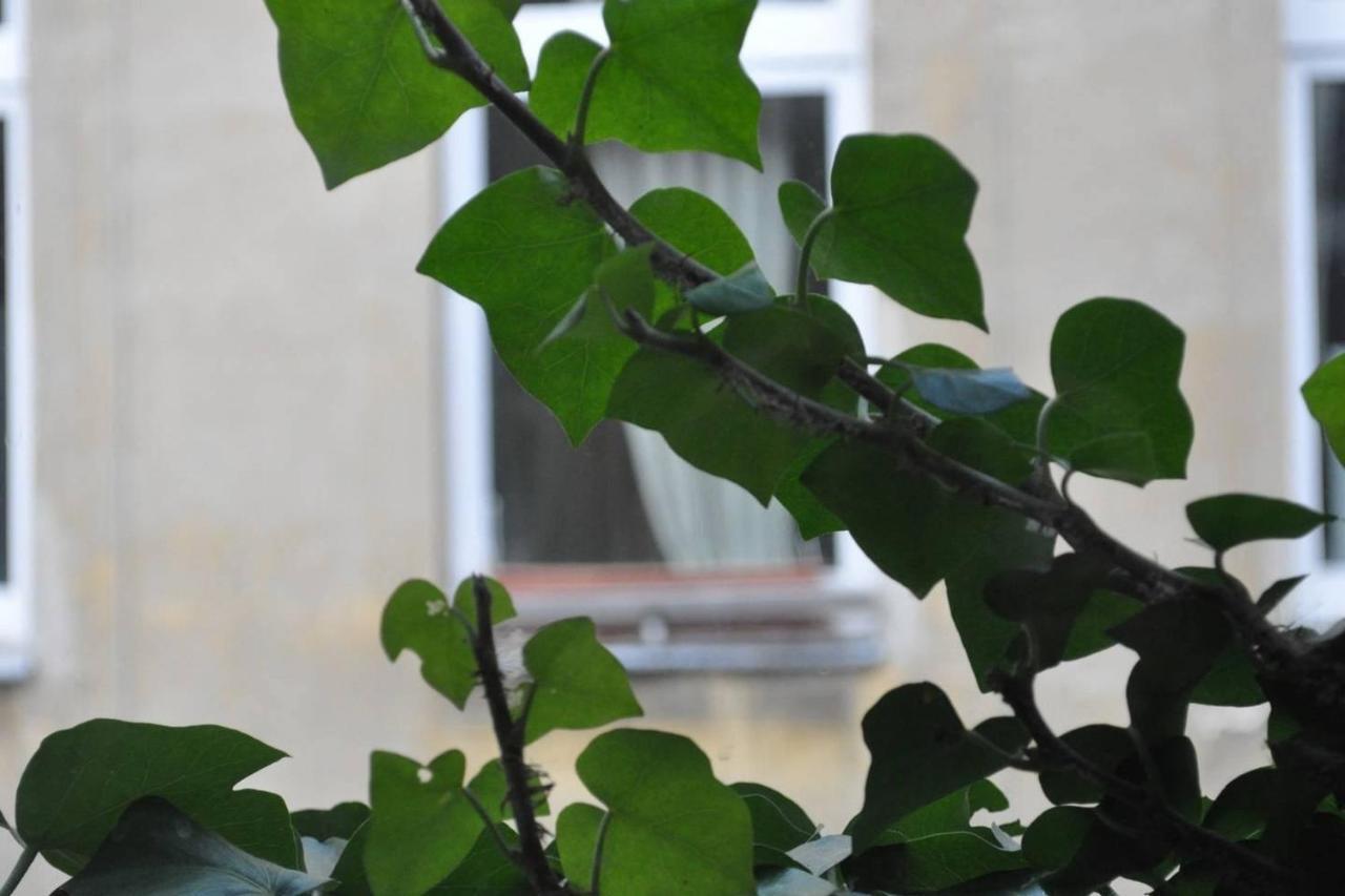Freiraum Kreuzberg Ostello *